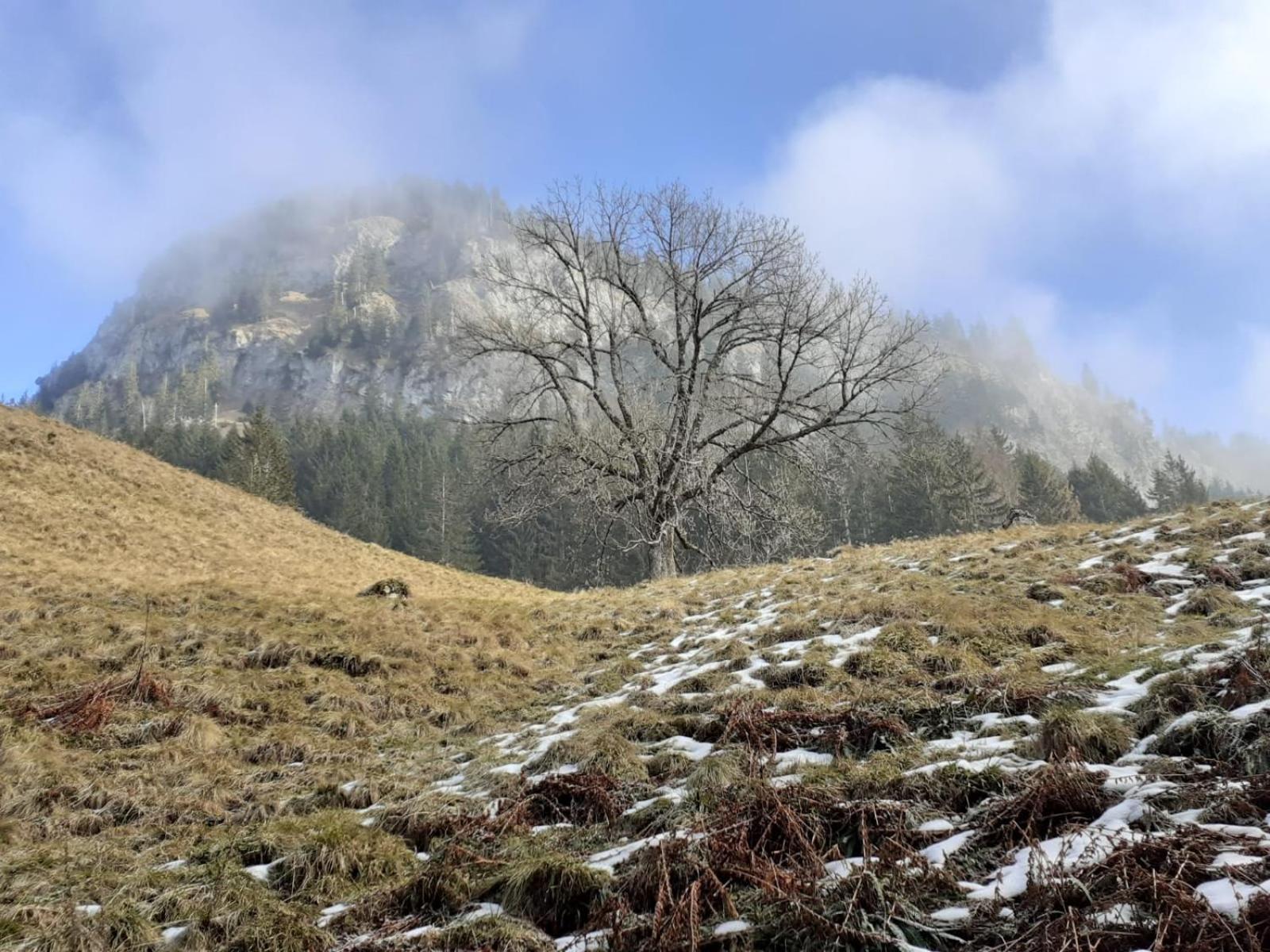 Berggasthof Sonne Allgaeu Sonthofen Buitenkant foto